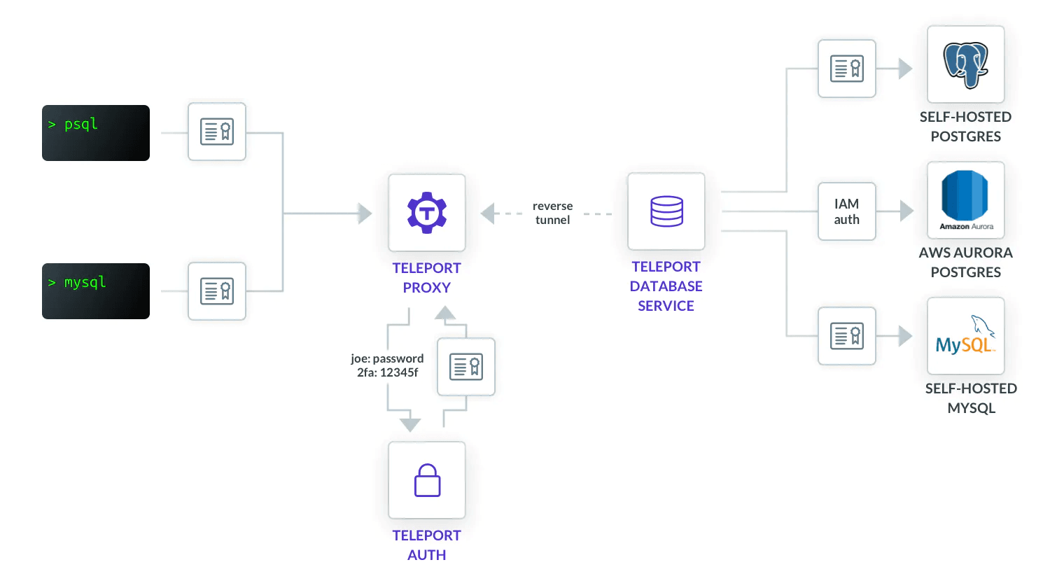 Teleport DB access arch