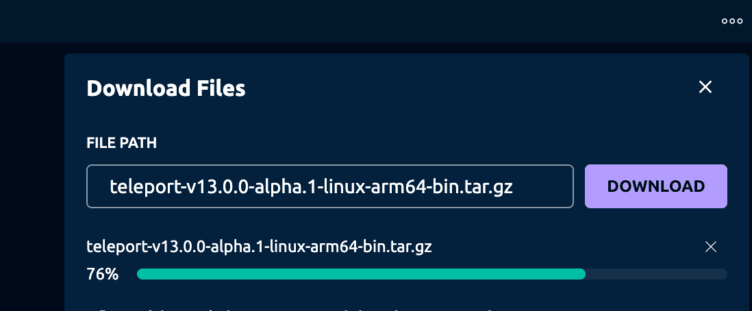 download files with teleport ui