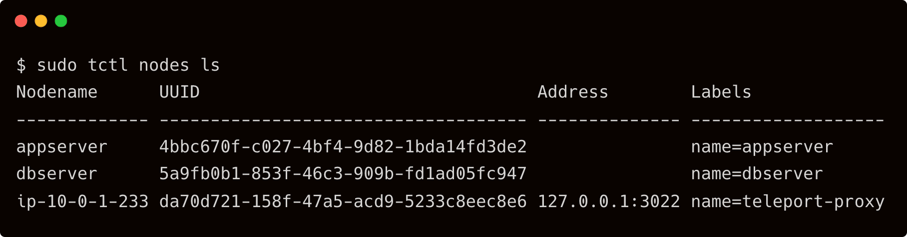 tctl node ls