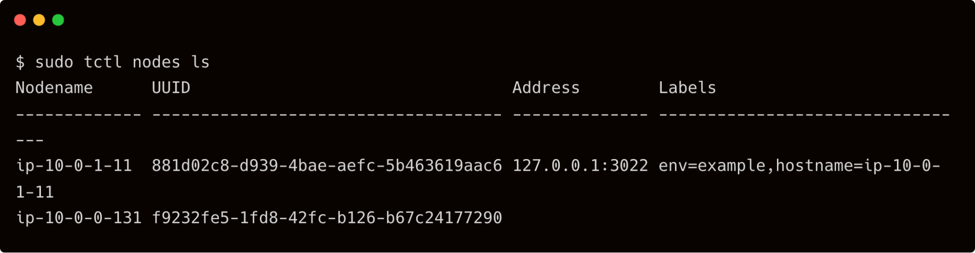 tctl node ls