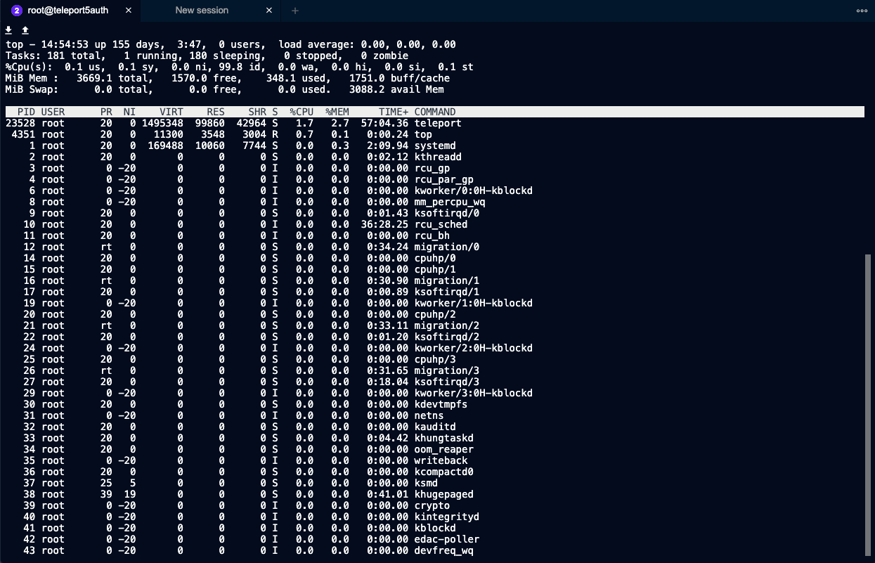 New Terminal